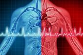 Ablation Cuts A-fib Recurrences, Burden Through 5 Years in CABANA